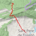 thumbnail for Salt del Mir