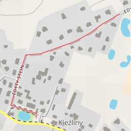 thumbnail for Edyty Stein