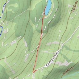 thumbnail for Wurz - Wurz