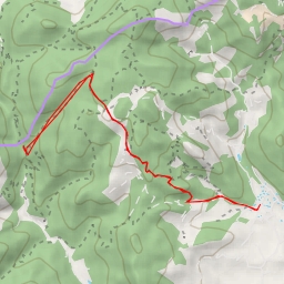 thumbnail for camí de Coanegra - camí de Coanegra