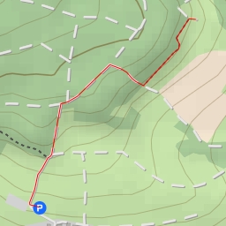 thumbnail for Im Guckert