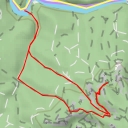 thumbnail for Leuchterweibchen-Vorkopf