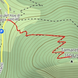 thumbnail for Tamaretto