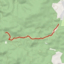 thumbnail for Brontosaurus