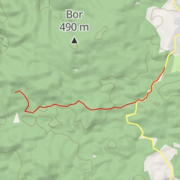 thumbnail for Brontosaurus