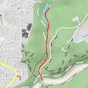 thumbnail for Roderbirken