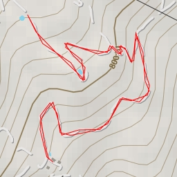 thumbnail for Diseminado Barranco Adelfas