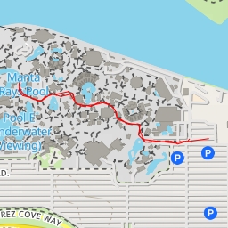 thumbnail for Manta Rays Pool