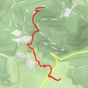 thumbnail for Longuitas