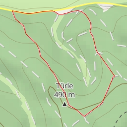thumbnail for Türle