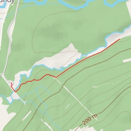 thumbnail for Witch's Brew - Witch's Brew