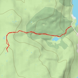 thumbnail for Black Knott