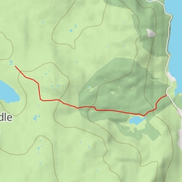 thumbnail for Long Moss