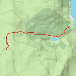 thumbnail for Black Knott