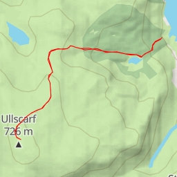 thumbnail for Green Comb