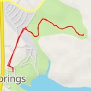 thumbnail for Giant Cypress