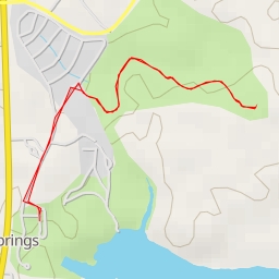 thumbnail for Giant Cypress