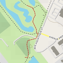 thumbnail for rue Aquatique Street