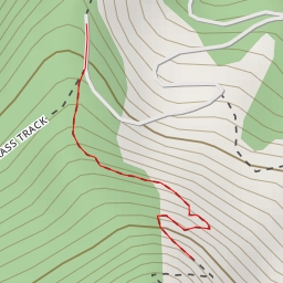 thumbnail for Lake Rotoiti View