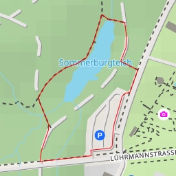 thumbnail for Sommerburgteich