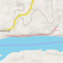 thumbnail for Newton Lane - Newton Lane