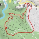 thumbnail for Riesenechse