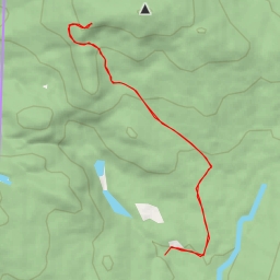 thumbnail for Pv Singer 1