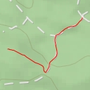 thumbnail for Zelena reber