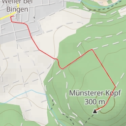 thumbnail for Münsterer Kopf