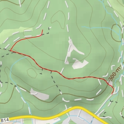 thumbnail for Schneiderzipf