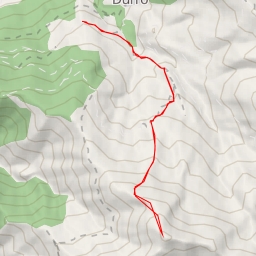 thumbnail for el Corronco