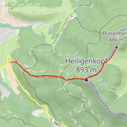 thumbnail for Blasenberg