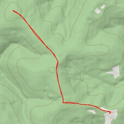 thumbnail for Smrčina