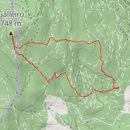 thumbnail for Galleiro