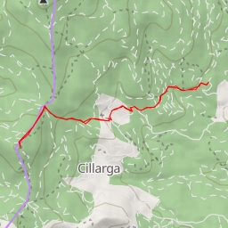 thumbnail for Salgueiros