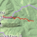 thumbnail for Bucșoiu