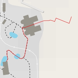 thumbnail for American Alligator - Zoo Parkway - Jacksonville