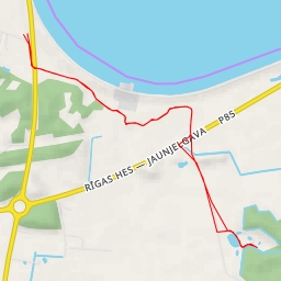 thumbnail for Mežavairogi - Rīgas HES — Jaunjelgava