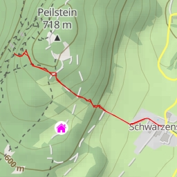 thumbnail for Falkenwand