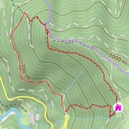 thumbnail for Wildsaupfad