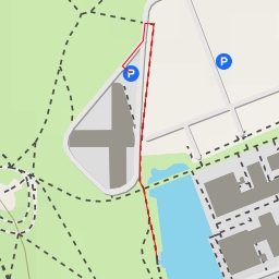 thumbnail for Am Campeon