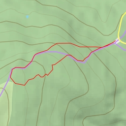 thumbnail for Sokolica