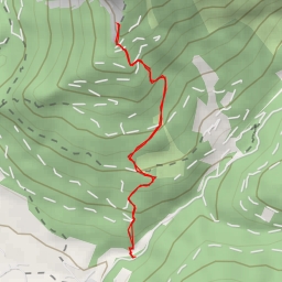 thumbnail for Grüner See-Blick