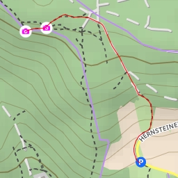 thumbnail for Ruine Starhemberg Blick