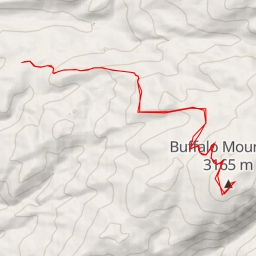 thumbnail for Buffalo Mountain