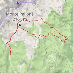 thumbnail for Casara Trentin - Portule Pastorile