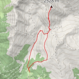 thumbnail for Poisnig