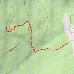 thumbnail for Long Moss