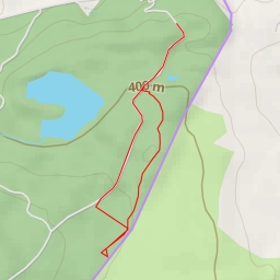 thumbnail for Bird Hide