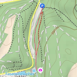 thumbnail for Fasaneriestraße